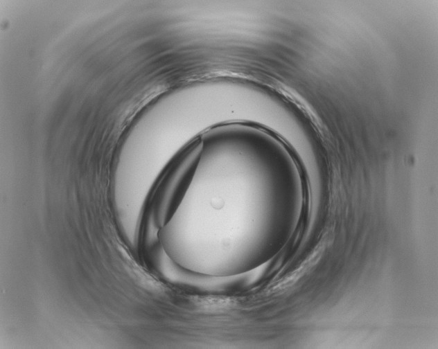 X0000088450785200705221336