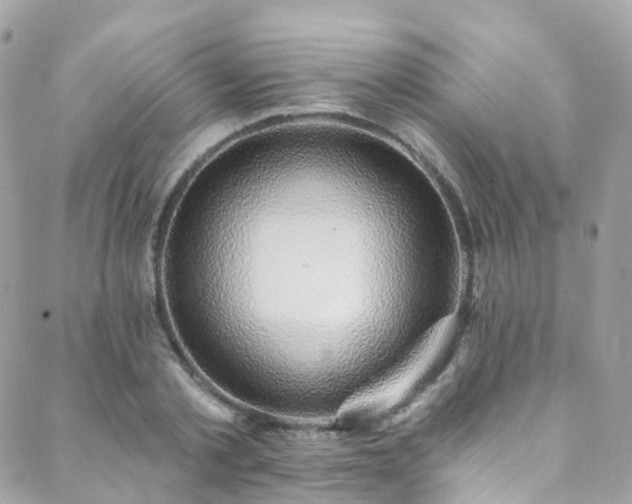 X0000088450789200705221336