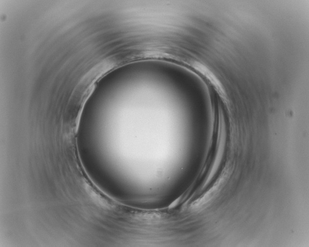 X0000088450801200705221336