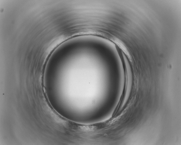 X0000088450805200705221336