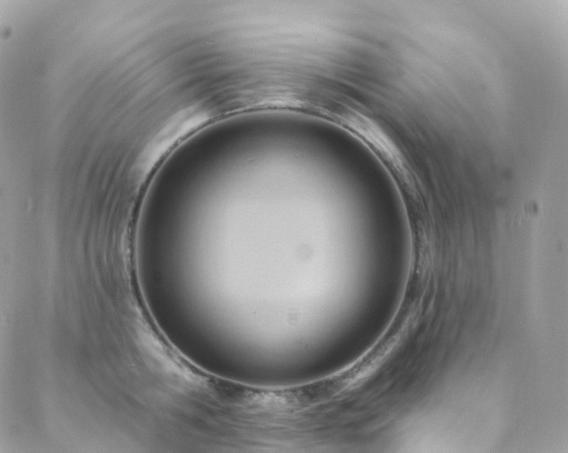 X0000088450806200705221336
