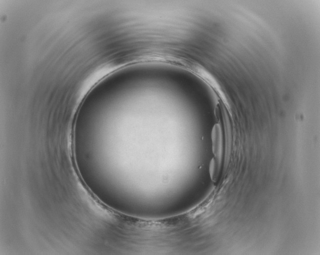X0000088450811200705221336