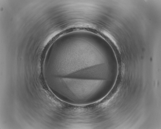 X0000088450829200705221335