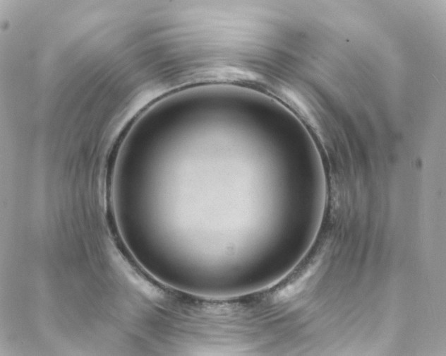 X0000088450843200705221335