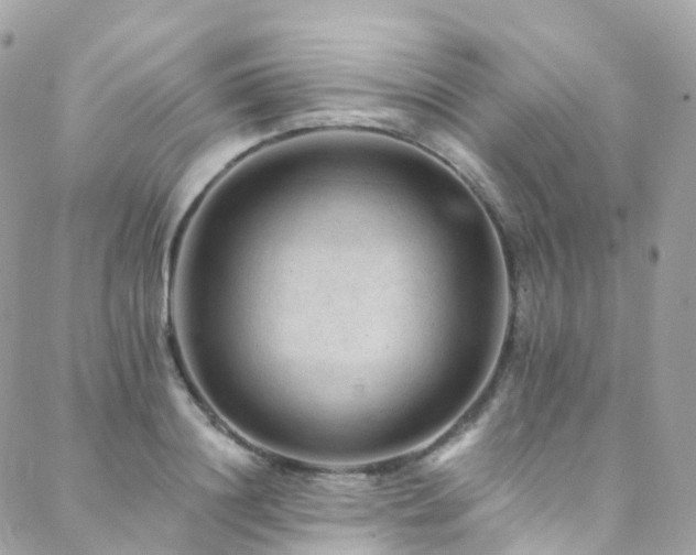 X0000088450844200705221335