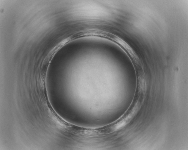 X0000088450857200705221336