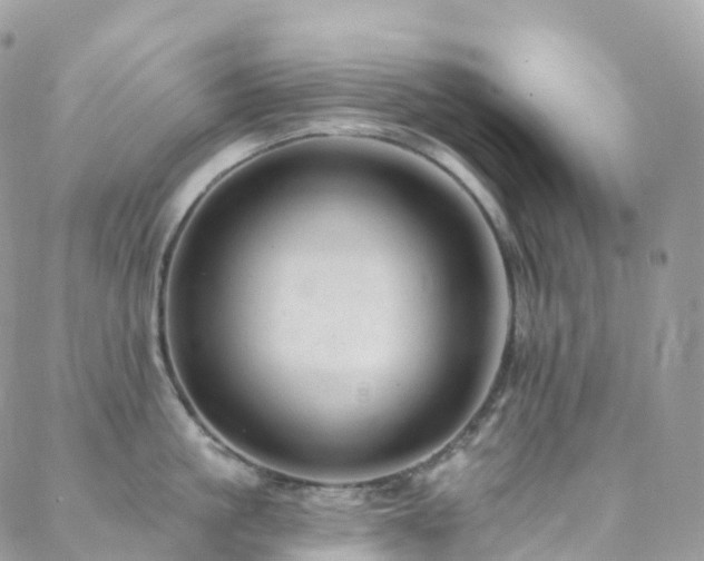 X0000088450861200705221336