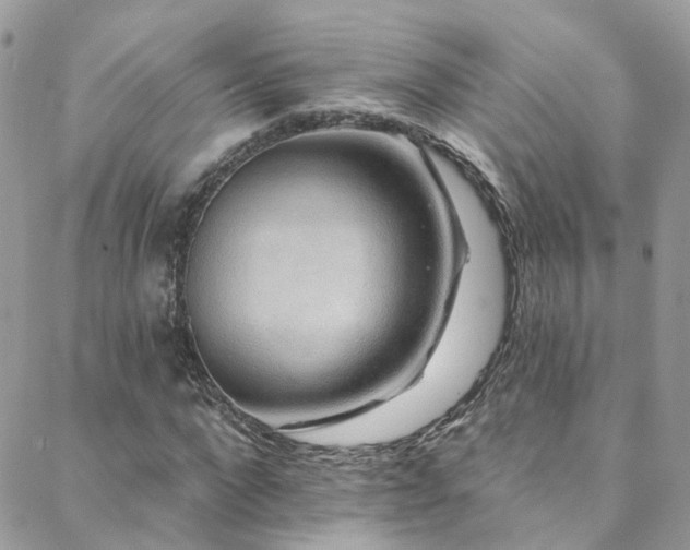 X0000088450872200705221335
