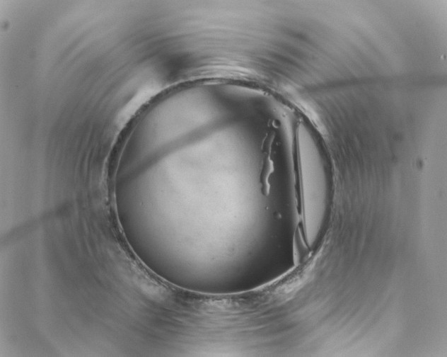 X0000088450883200705221335