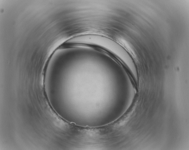 X0000088450900200705221334
