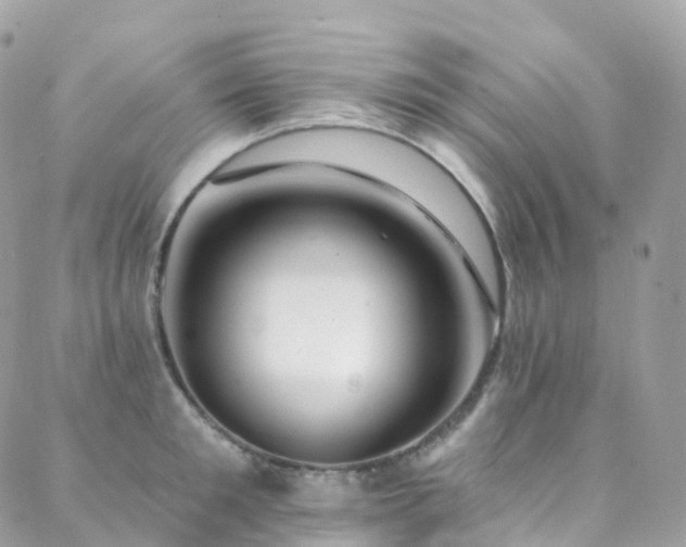 X0000088450901200705221334