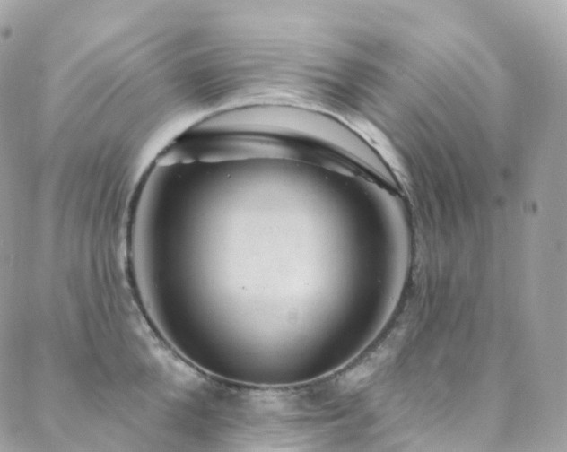X0000088450904200705221334