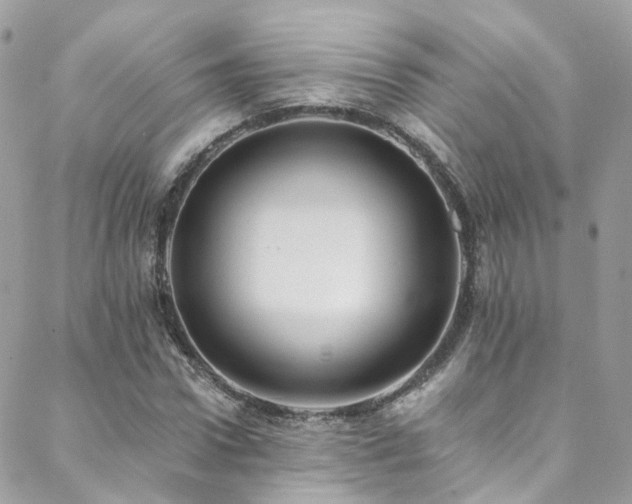 X0000088450922200705221333