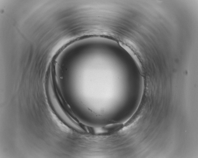 X0000088450942200705221334