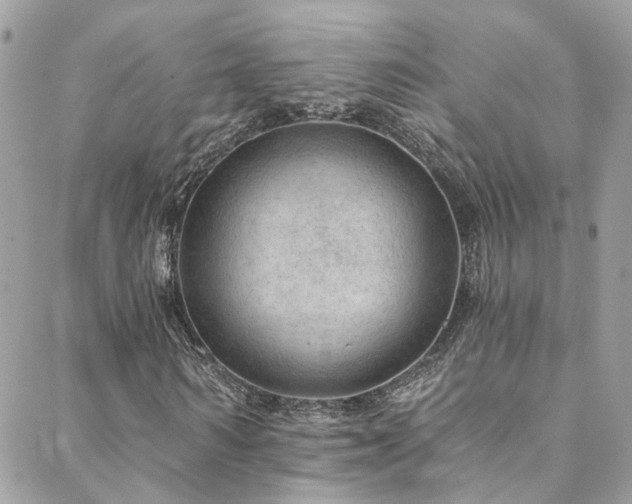 X0000088450962200705221333