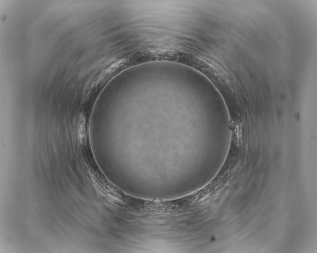 X0000088450963200705221333
