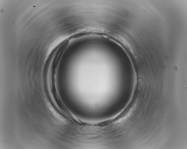 X0000088450981200705221333