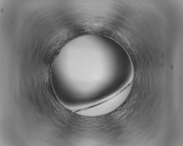 X0000088451012200705221332