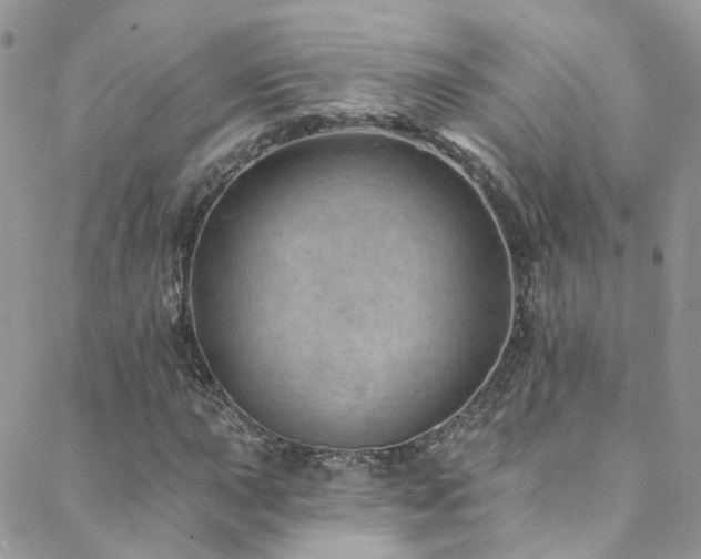 X0000088451015200705221332