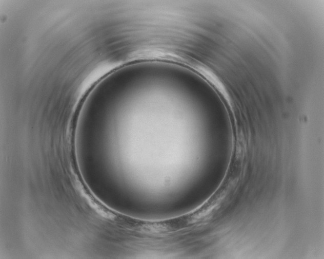 X0000088451053200705221332