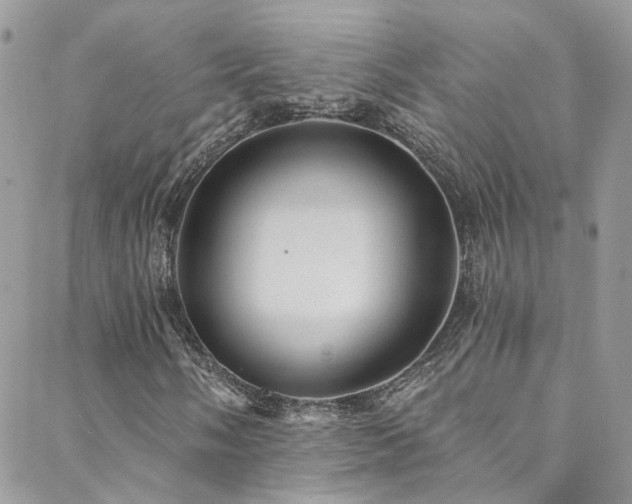 X0000088451058200705221332