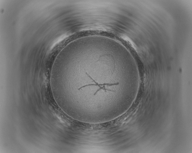 X0000088451064200705221332