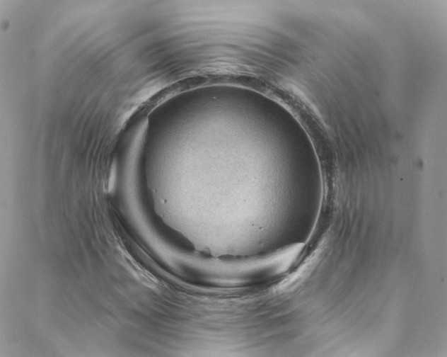 X0000088451065200705221332