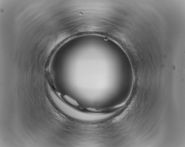 X0000088451073200705221331