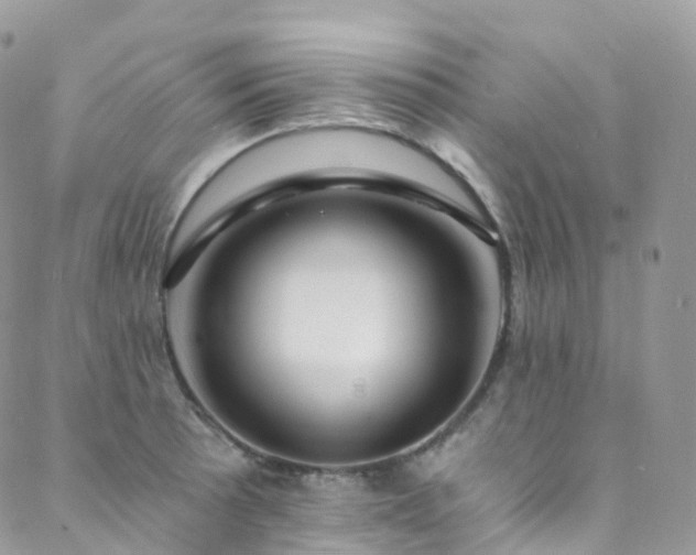 X0000088451089200705221331