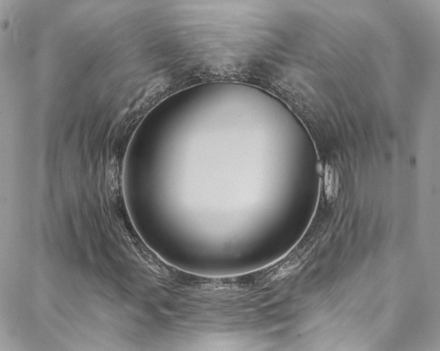 X0000088451107200705221330