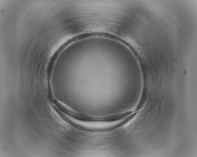 X0000088451118200705221330