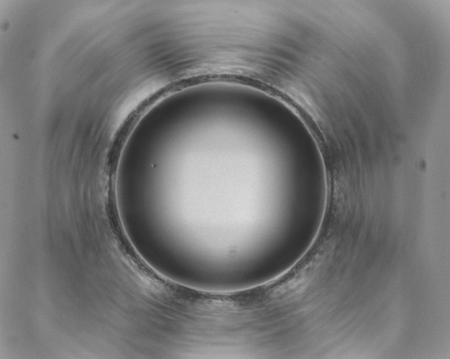 X0000088451119200705221330