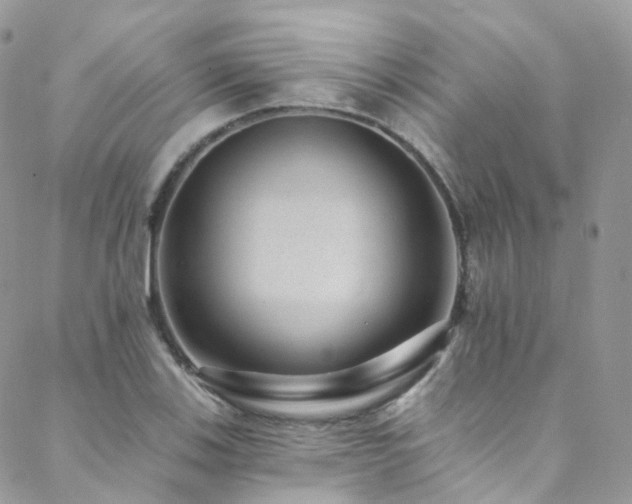 X0000088451123200705221330