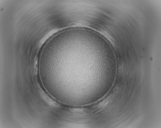 X0000088451126200705221331