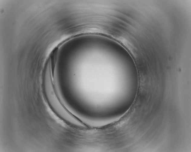X0000088451134200705221331