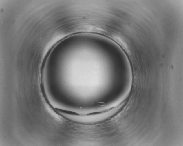 X0000088451136200705221331