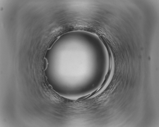 X0000088451153200705221330