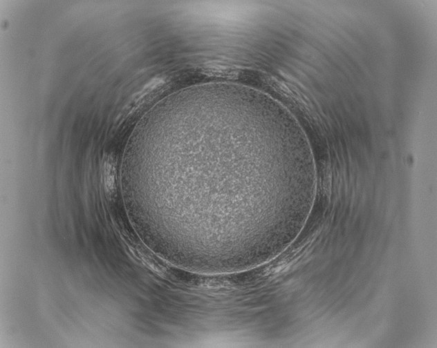 X0000088451154200705221330