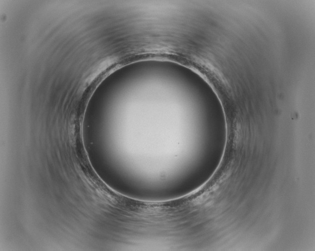 X0000088451162200705221330