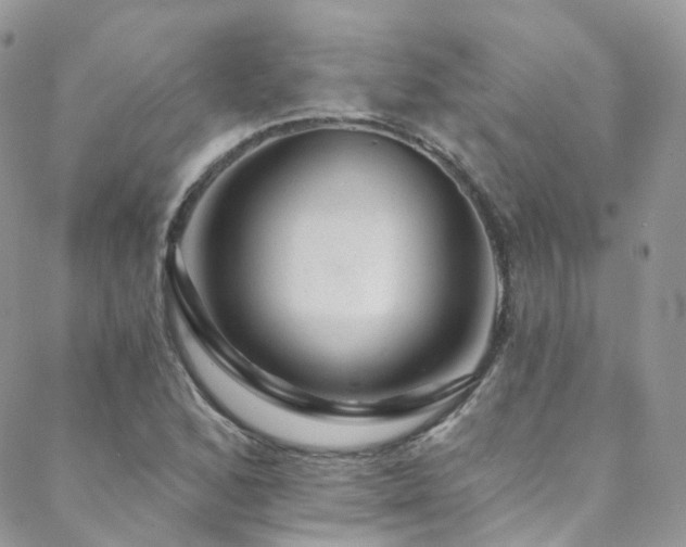 X0000088451168200705221330