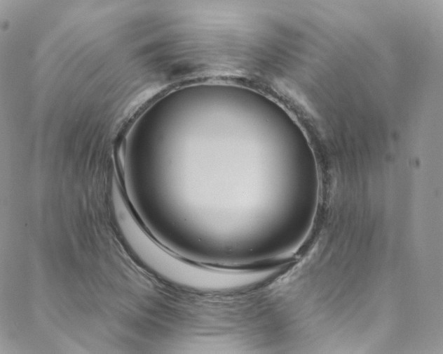 X0000088451169200705221330