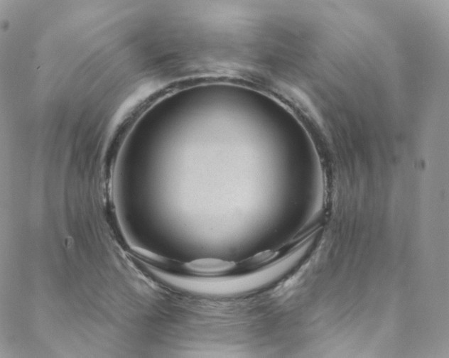 X0000088451172200705221330