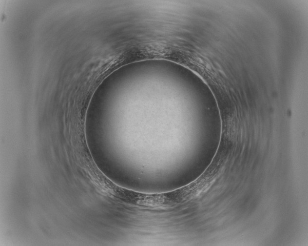 X0000088451201200705221329