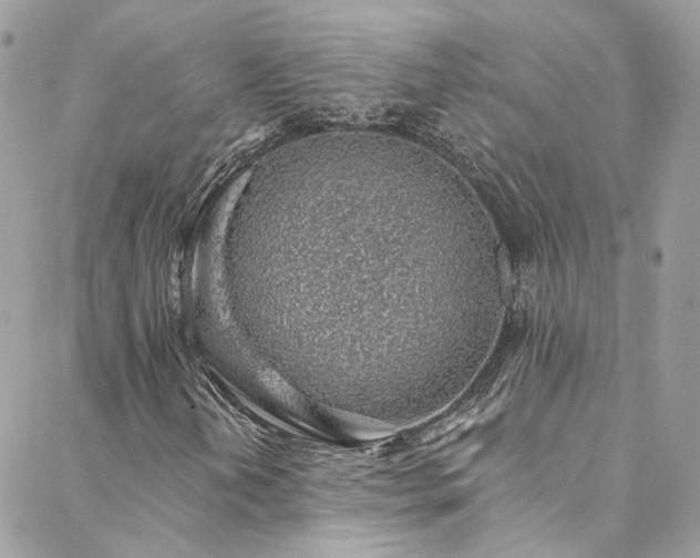 X0000088451202200705221329