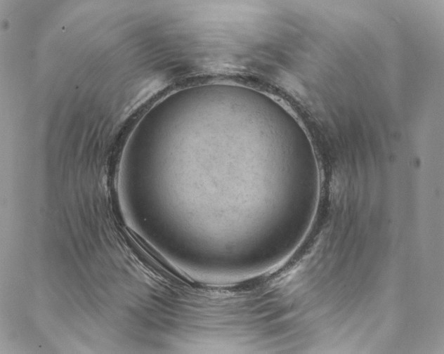 X0000088451209200705221329
