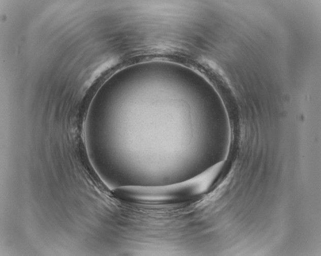 X0000088451210200705221329