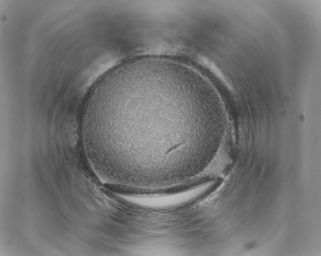 X0000088451213200705221329