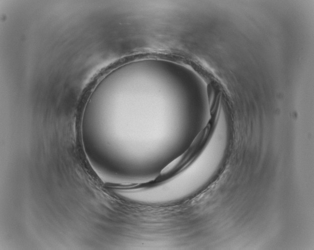 X0000088451214200705221329