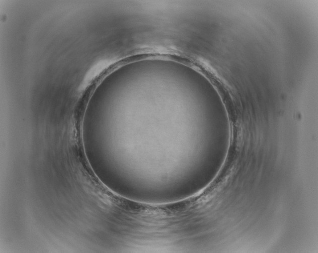 X0000088451215200705221329