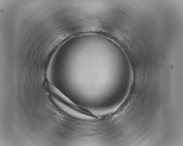 X0000088451217200705221329